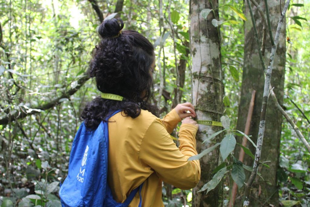 Inventário Florístico/Florestal