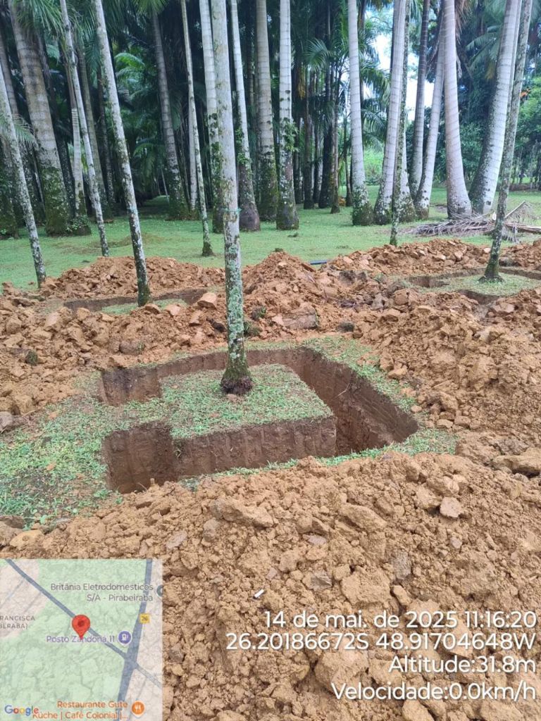 Intervenção em Área Verde