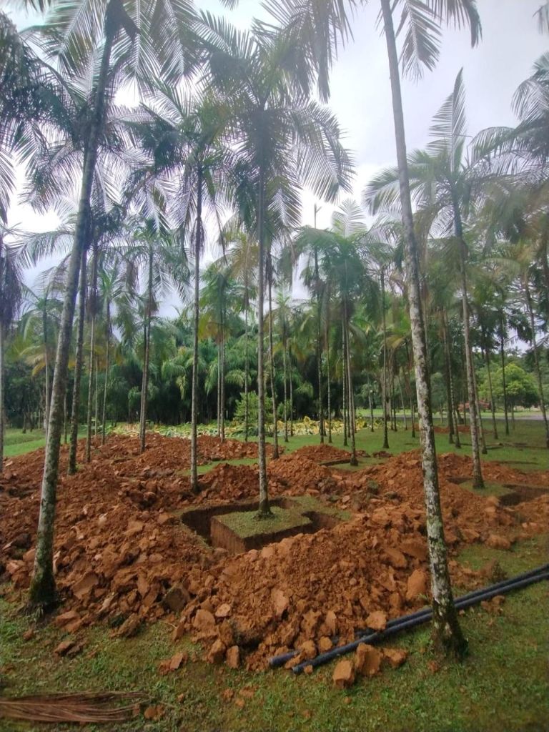 Intervenção em Área Verde